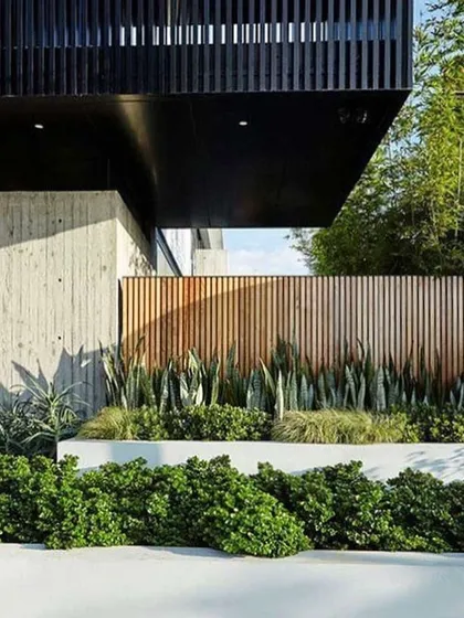 This design uses layers of planting to create depth. Low, bushy shrubs in the foreground are backed by taller snake plants and a wooden slat fence, all complementing the modern black and concrete architecture.