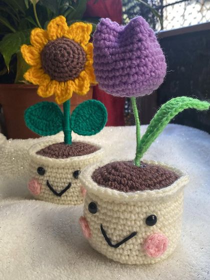 Quirky & Smiley Pots photo 6