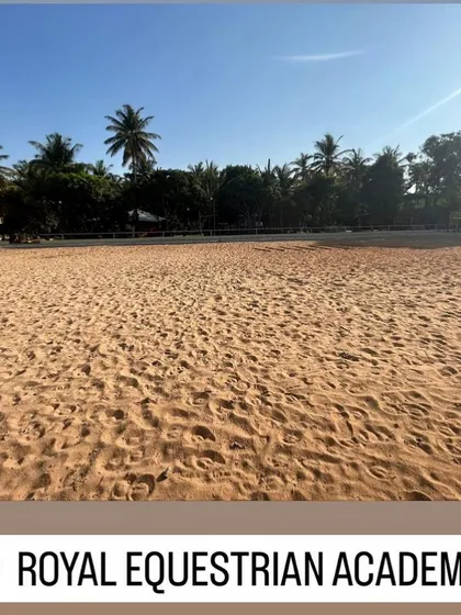 A clear view of our expansive training arena under the sun. The size and quality of this space allow us to host clinics and practice shows, providing a complete training experience for competitive riders.