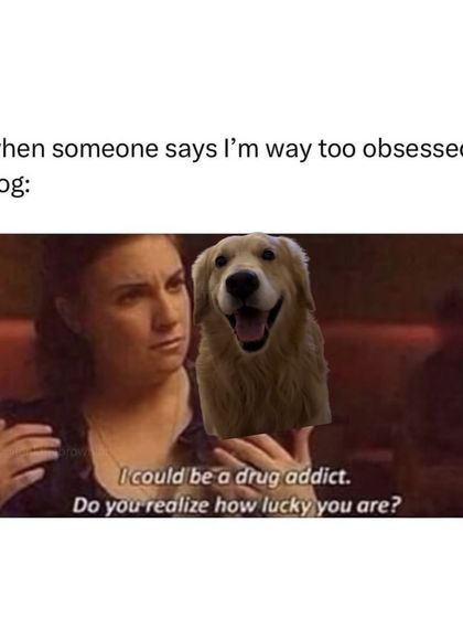 The Pack - Online Pet Parent Community The Fun Side of Pet Parenting photo 11