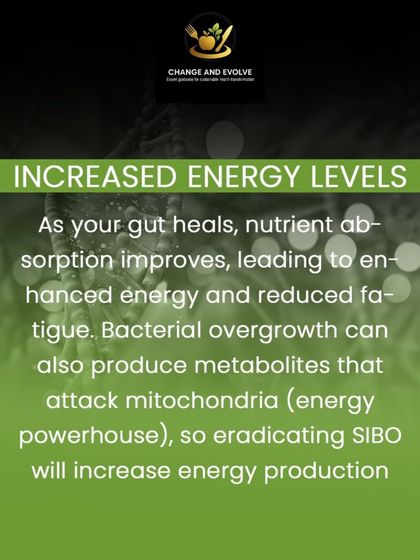 As your gut heals, nutrient absorption improves, leading to increased energy levels and reduced fatigue.