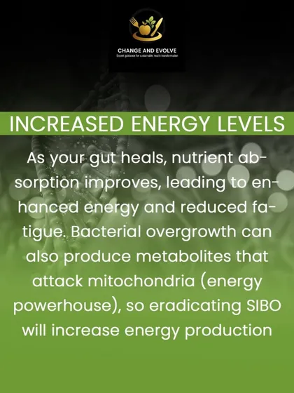 As your gut heals, you'll notice benefits beyond digestion. Improved nutrient absorption leads to increased energy levels, reduced fatigue, and better mental clarity.