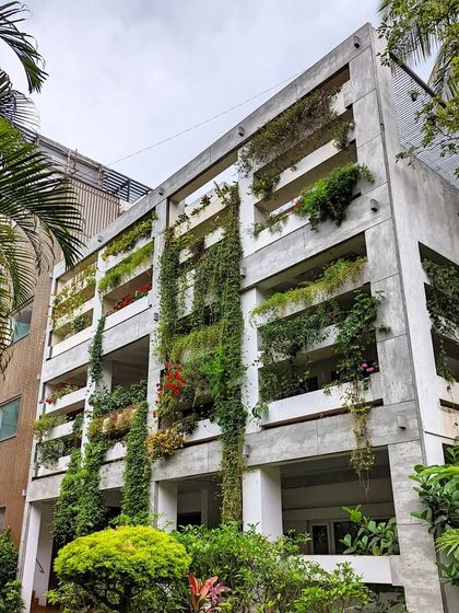 Office of Cognitive Design - Residential Architecture & Interior Design Architecture Meets Nature photo 4