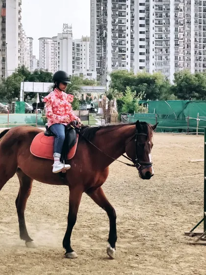 A young student confidently navigates the arena on her horse. We guide riders as they transition from led rides to independent riding.