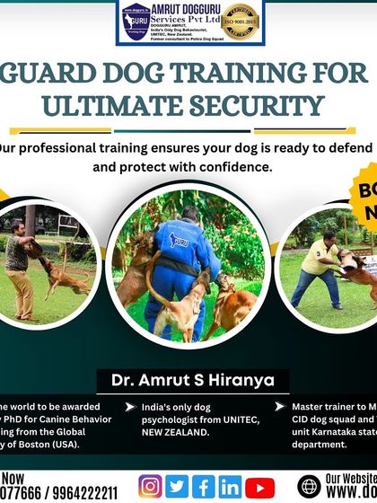 Dog Guru - Professional Dog Trainer Certification Advanced Training in Action photo 7