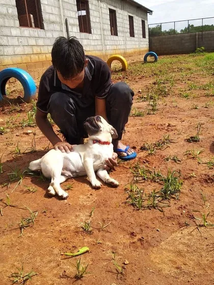 We believe in a personal touch. A member of our trained staff is giving this sweet pug some love and a relaxing belly rub in our outdoor play area. Every dog gets individual attention and care.