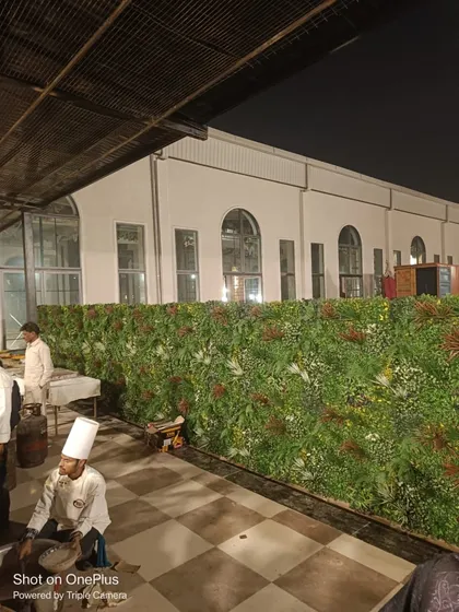 A wide shot of the artificial green wall at an outdoor event, functioning as a beautiful and practical space divider.