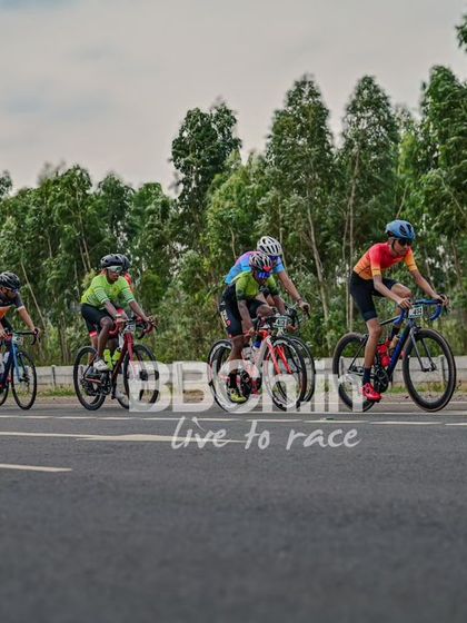 The peloton, a colorful and dynamic sight, races down the highway.