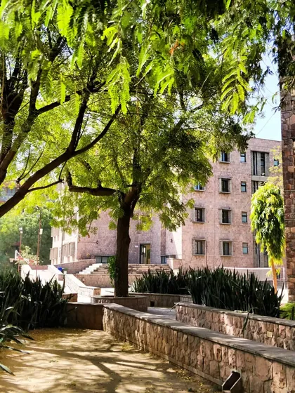 Lush greenery lines the pathways at the IIHMR campus. The landscape design is integral to the architecture, providing shade and creating pleasant walkways that connect the various buildings and courtyards.