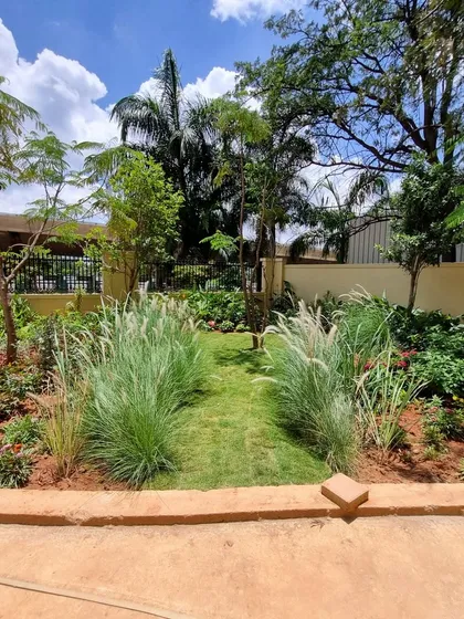 A newly planted section at the Legacy Cirocco site. Here, we've used ornamental grasses to line a turf pathway, creating a soft, naturalistic border that contrasts with the surrounding tropical foliage.
