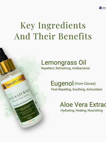 PawsnCollars - Veterinary Care Our Curated Pet Shop photo 4