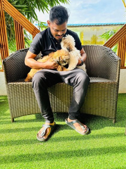 Fluffy Paws Pet Resort - Pet Boarding & Daycare Puppy Preschool: Socialization & Fun photo 8