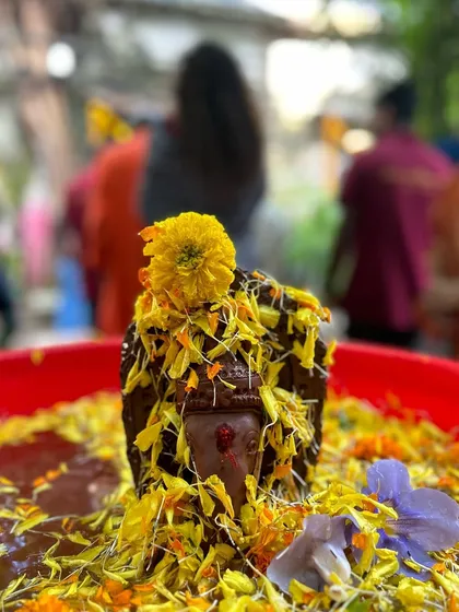 Close-up of the Ganesha idol during the visarjan, covered in flower petals. This practice protects our rivers and lakes from pollution.