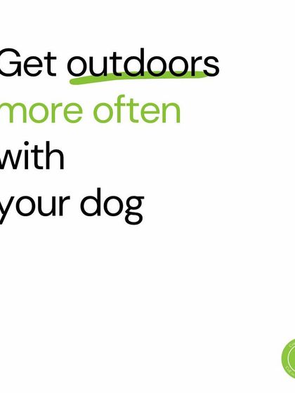 Confident Dogs - Canine Behavior Modification Trust, Not Control: My Training Philosophy photo 10