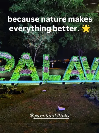 A showcase of our large-scale creative landscaping. We designed and installed these living letters for Palava, turning a name into a breathing, green landmark that makes a powerful statement.