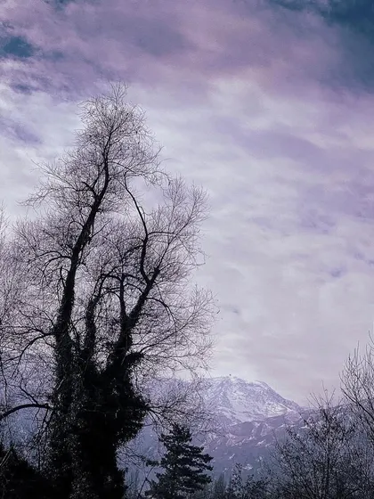 A stark, leafless tree stands against a dramatic purple sky and snow-covered mountains in Kashmir. The edited colors create a surreal and artistic interpretation of the winter landscape.