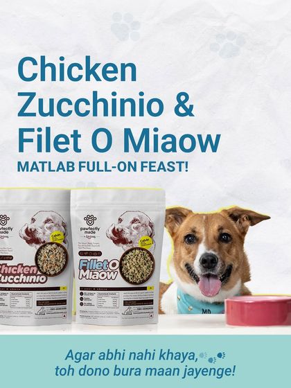 It's a full-on feast! With delicious options like Chicken Zucchinio and Filet O Miaow, Sheru is spoiled for choice. Don't make them wait!