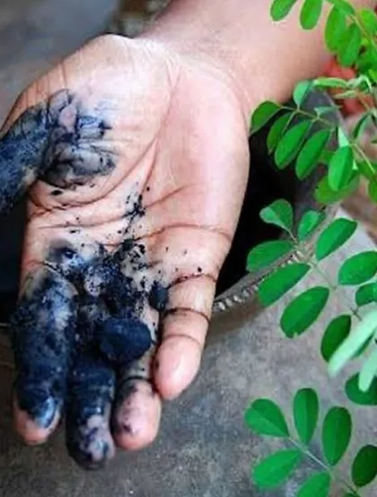 This is the mark of a natural dyer. The deep blue on my hands is a sign of pure, potent indigo, a testament to the authenticity of the materials I use.