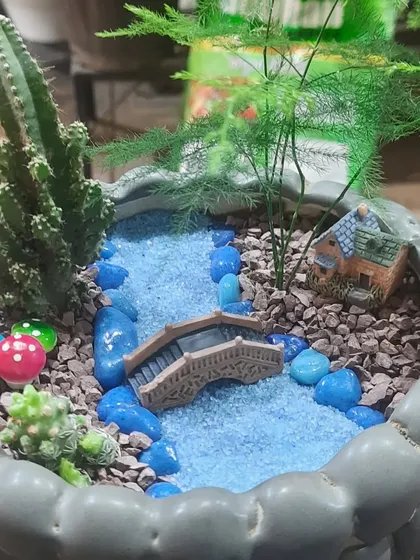 A miniature garden with a river theme. I used blue sand, a tiny bridge, and a mix of cactus and asparagus fern to create a tiny, peaceful landscape in a pot.