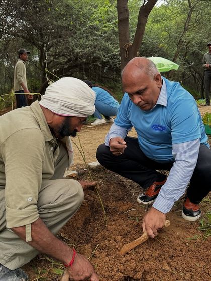 Our expert guides a Carrier India volunteer on the proper technique for planting, ensuring the sapling's roots are well-positioned for growth.
