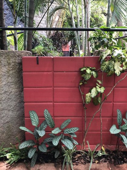 Sora Garden Design - Landscape & Garden Design A Painter's Palette: Plant Close-ups photo 6