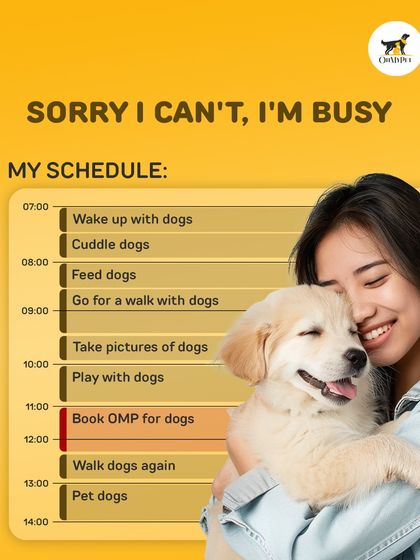 Oh My Pet - At-home Pet Grooming A Pet Parent's Guide photo 7