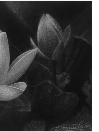 The other side of the lotus drawing, showing the unopened bud in the background, which adds depth to the composition.