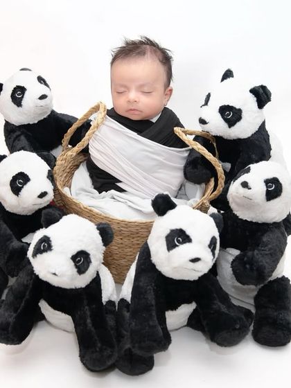 Meghana Merchant - Newborn Photography Creative & Fun Themes photo 11