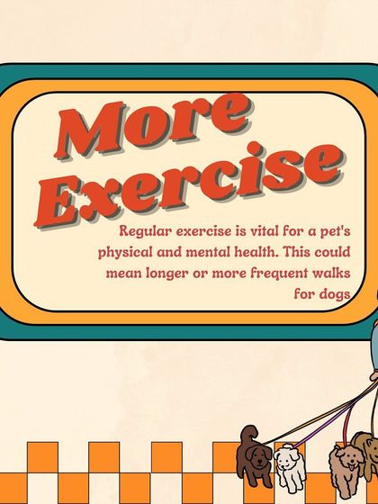 Furever Safe - Pet Training Pet Parent Knowledge Hub photo 10