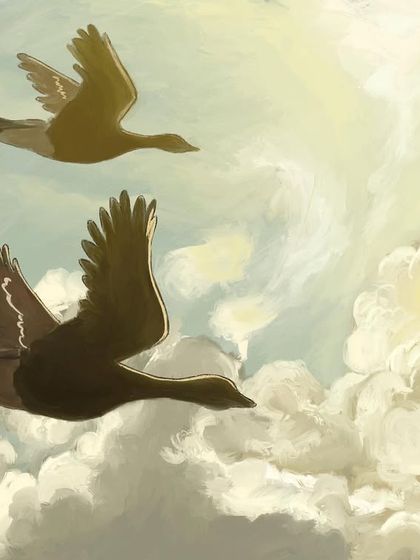 Nature's Palette photo 10