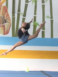 Gymnastics Programs