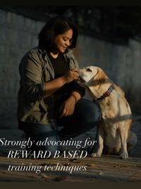 Online Dog Training & Consultation