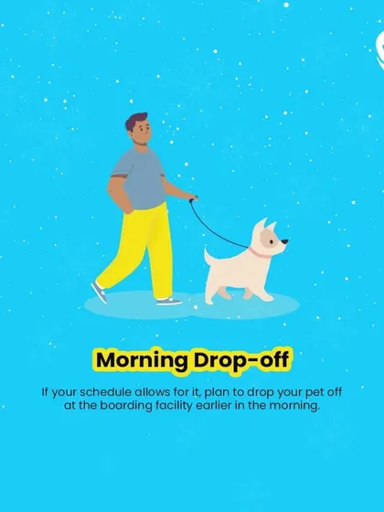 A morning drop-off is a great tip. It gives your pet the whole day to get accustomed to the new environment, play, and settle in before nighttime.