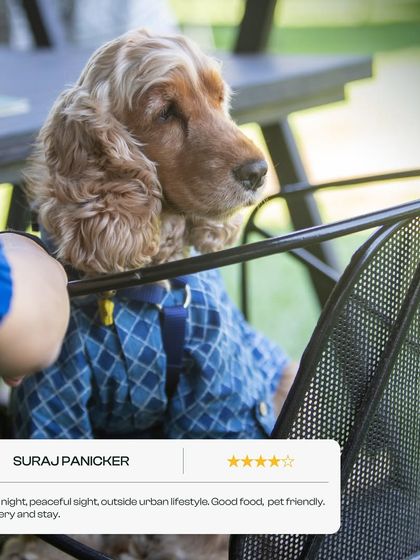 As one of our guests, Suraj, said, we offer a "peaceful sight, outside urban lifestyle. Good food, pet friendly." This happy pup seems to agree.