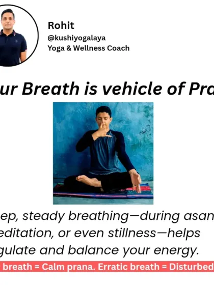 Rohit N - Yoga Teacher Training The Science of Yoga & Ayurveda photo 13