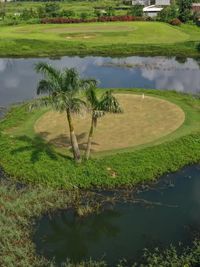 Golf Play & Competitions