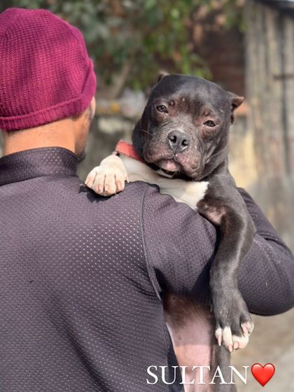 The bond between a man and his dog is something special. This is the loyalty and love I talk about. It’s a feeling you can't buy.