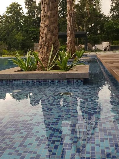 A close-up of a floating planter within a swimming pool, where palm trees appear to rise directly from the water. This detail adds a tropical and luxurious feel to the pool area, blending planting with water in an innovative way.