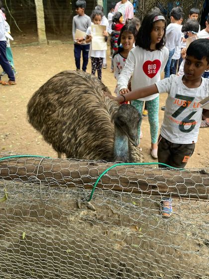 Siksha Montessori - Montessori Elementary School Program (Ages 6+) Exploring Our World: Science & Nature photo 14