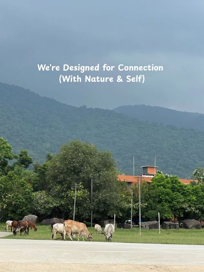 We're designed for connection, with nature and with ourselves. The ashram environment, surrounded by nature, helps you reconnect.