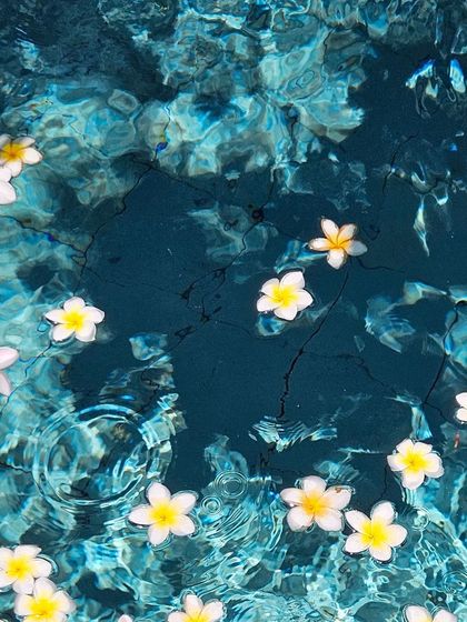 Inspiration is everywhere. The simple beauty of frangipani flowers floating in a pool is a reminder of the tranquil moments we aim to create.
