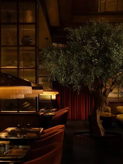 Atmosphere is paramount in hospitality design. At this restaurant, I orchestrated a mood of neo-decadence with amber light, rust velvet, and an olive tree as the central anchor. Every corner is a curated mise-en-scène, designed for intimate conversations.