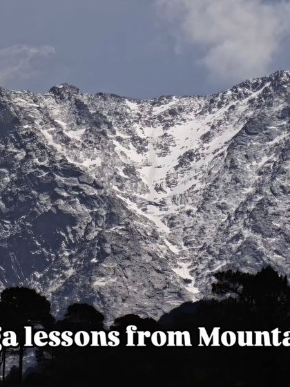 Yoga lessons from the mountains. The Dhauladhar range teaches us about stillness, strength, and the discipline required to elevate our consciousness.