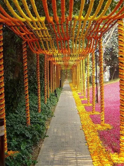 I love creating grand entrances that wow your guests. This long walkway is covered with a canopy of orange and yellow marigold strings, making everyone feel like they are walking through a field of flowers.