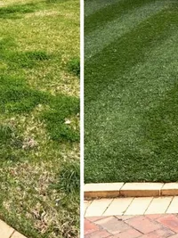 Garden Maintenance