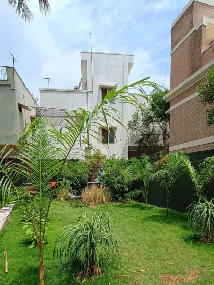 This image showcases the new palm trees and other plantings I selected for this garden. The goal was to create a tropical and relaxing atmosphere.