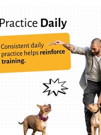 Pet Parent Education