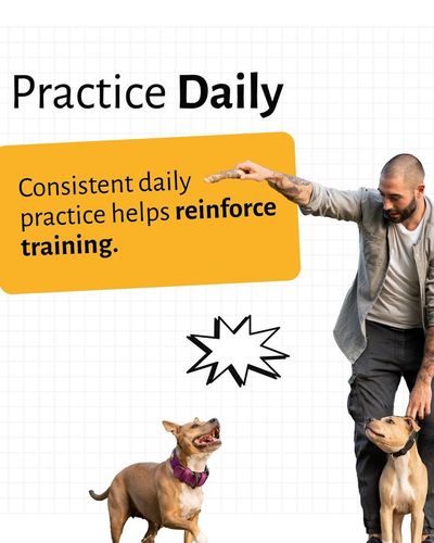 Pet Parent Education