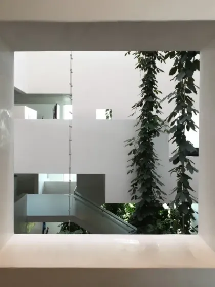 A carefully framed aperture at the Novartis Campus offers a glimpse into the central green atrium. These controlled views create moments of discovery and reinforce the presence of nature throughout the building.