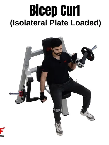 A user performing a single-arm curl on our Isolateral Bicep Curl machine. This is a great way to focus on the mind-muscle connection and correct imbalances.